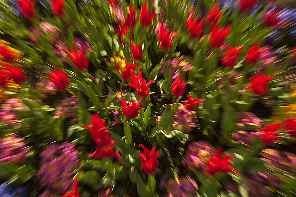 zoom in out